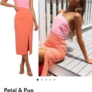 Xiomar Dress Petal and Pup one shoulder block colored dress
